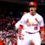 Bird Watching: Time to Flip the Switch on the Cardinals…